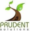 prudentsolutions's picture